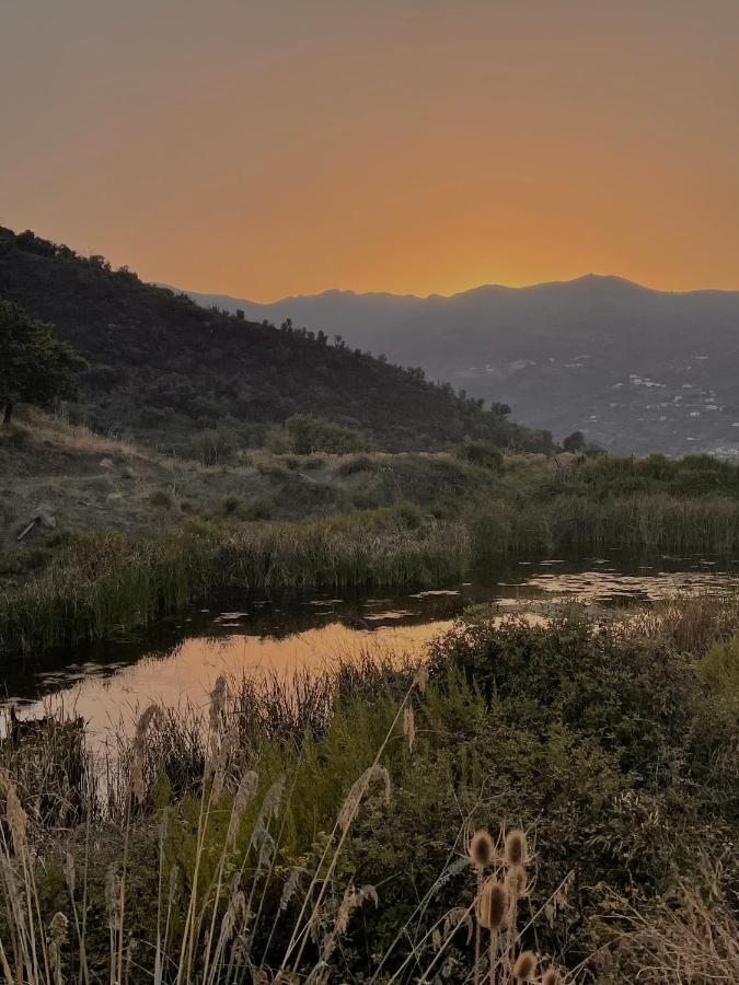 Villa Rica ปัตตี ภายนอก รูปภาพ